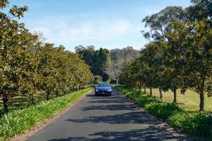 Spencer Asphalting, Sydney